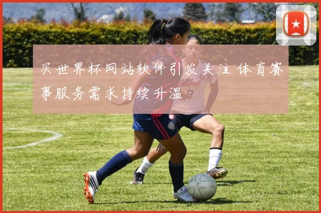 买世界杯网站软件引发关注 体育赛事服务需求持续升温