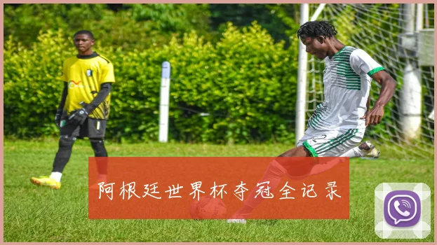 阿根廷世界杯夺冠全记录