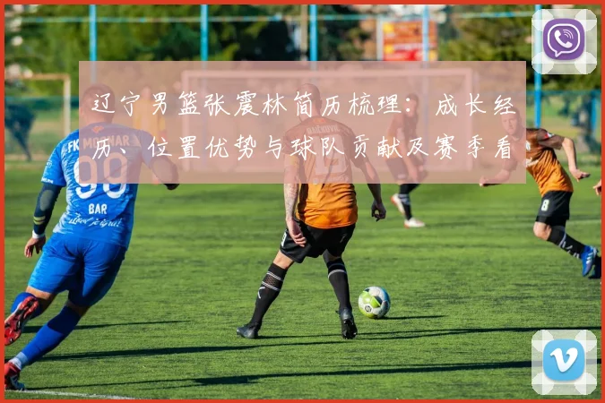 辽宁男篮张震林简历梳理:成长经历、位置优势与球队贡献及赛季看点