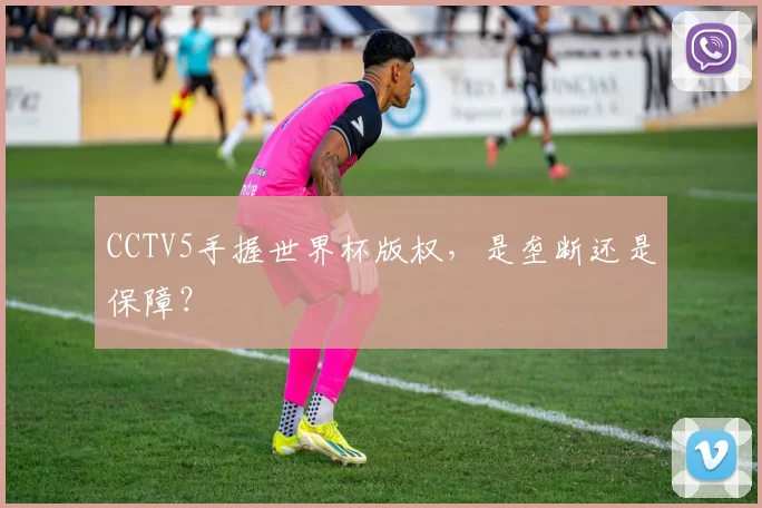CCTV5手握世界杯版权，是垄断还是保障？
