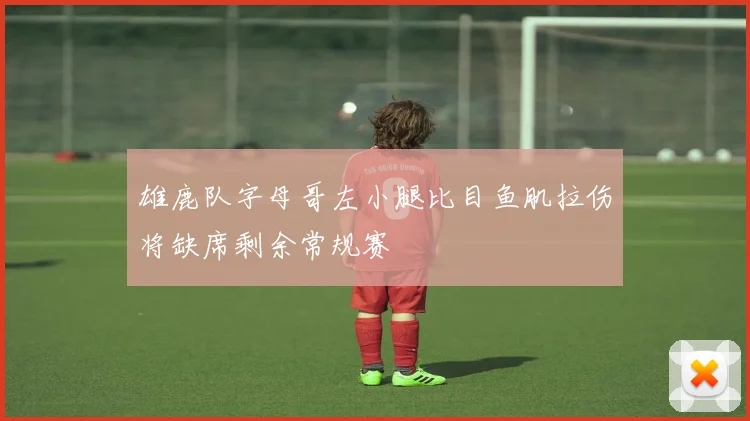 雄鹿队字母哥左小腿比目鱼肌拉伤将缺席剩余常规赛