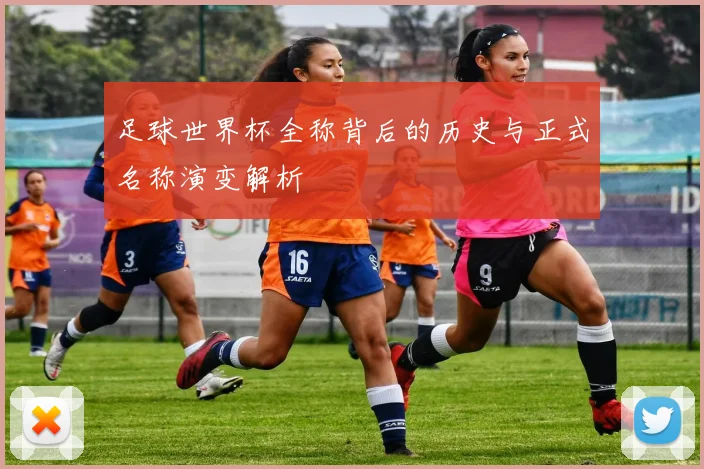 足球世界杯全称背后的历史与正式名称演变解析