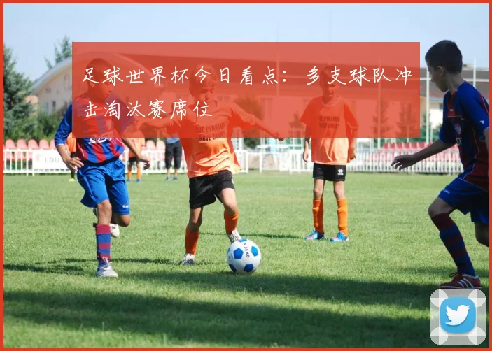 足球世界杯今日看点：多支球队冲击淘汰赛席位