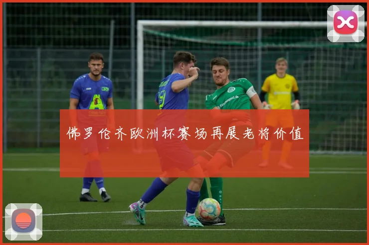 佛罗伦齐欧洲杯赛场再展老将价值