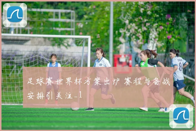 足球赛世界杯方案出炉 赛程与备战安排引关注_1
