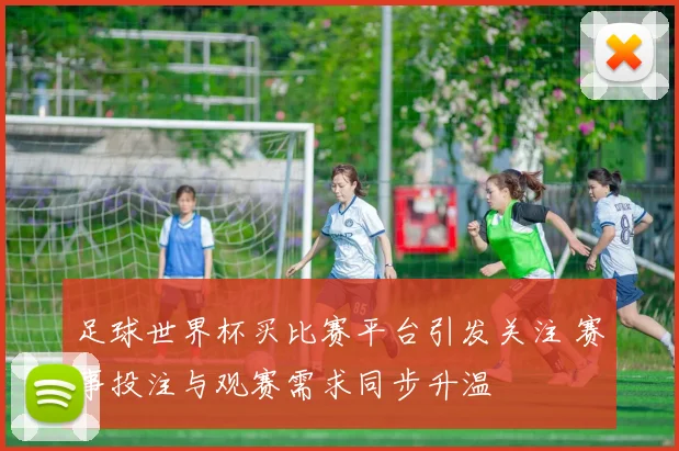 足球世界杯买比赛平台引发关注 赛事投注与观赛需求同步升温