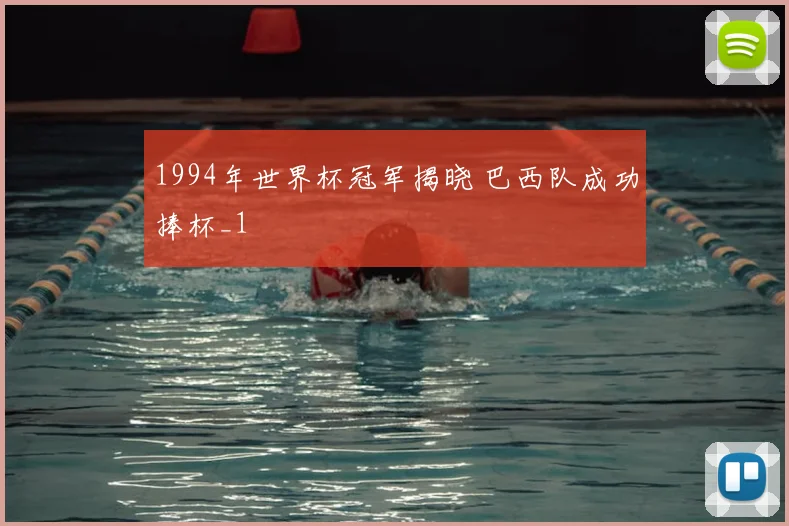 1994年世界杯冠军揭晓 巴西队成功捧杯_1