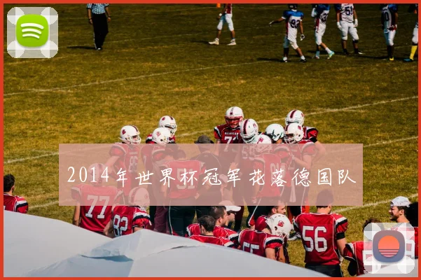 2014年世界杯冠军花落德国队