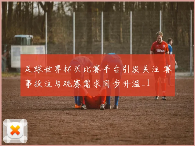 足球世界杯买比赛平台引发关注 赛事投注与观赛需求同步升温_1