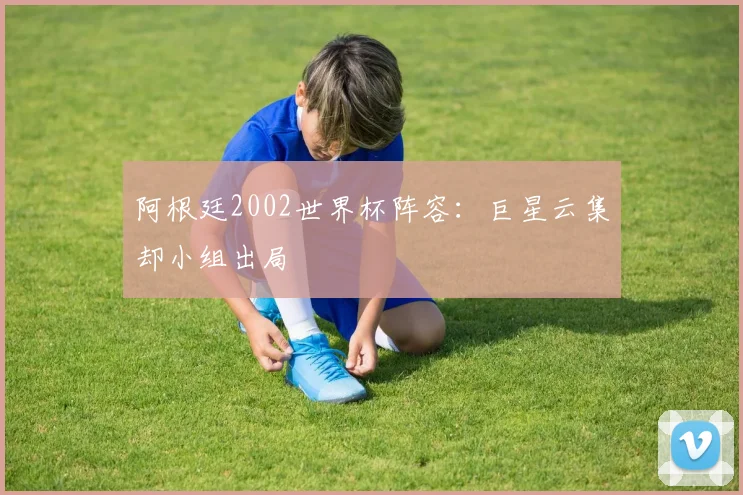 阿根廷2002世界杯阵容:巨星云集却小组出局