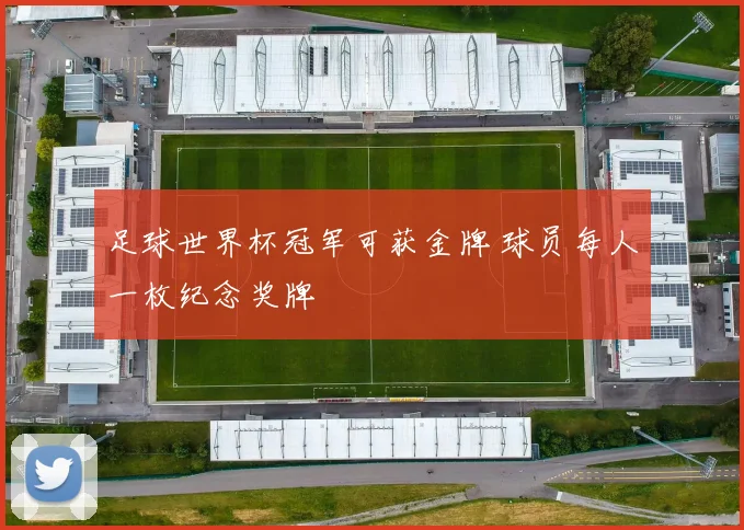足球世界杯冠军可获金牌 球员每人一枚纪念奖牌
